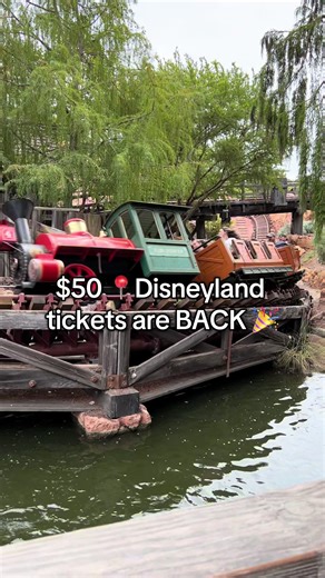 Use me as your free travel agent to unlock the BEST 📍Disney vacation possible. -100% Free Planning: No hidden fees, just expert advice. ✨ -Budget Friendly: Payment plans available! -Quick Quotes: Use the link in my bio to request yours now. 🚨 Starting today, Jan 21, you can grab 1-Day Park Hopper tickets for kids (ages 3–9) for just $50. The Details: * Valid: May 22 – Sept 7, 2026. * Pricing: $50 (1-Day), $100 (2-Day), or $150 (3-Day). * Included: These are PARK HOPPERS! 🙌 Summer dates will f