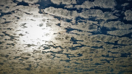 Jean-Robert Viallet, "La Mise à mort du travail", 2009