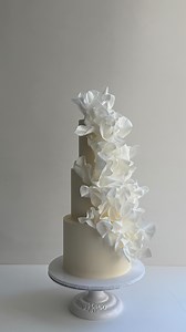 130K views · 434 reactions | Exploring a different shape of wafer paper ruffles | K CAKE | Facebook