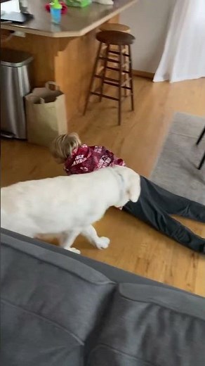 Puppy Pulls Kids’ Pants Down #trending #viral #fyp #kids #pets #petshorts #funny #puppy #dog
