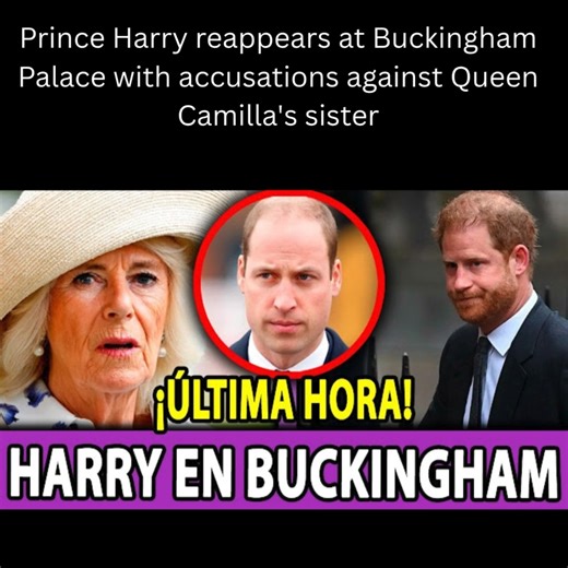 Prince Harry is back in the news for all the right reasons by making bolder than ever allegations against Queen Camilla's sister Annabel Elliott and it he's made a dramatic return to Buckingham Palace. Having largely remained a non-entity in the public eye since his and Meghan Markle's departure from royal duties, it was bound to turn heads when the Duke of Sussex made another high-profile appearance - one which would leave jaws on the floor across royal households and newsrooms alike. How far f