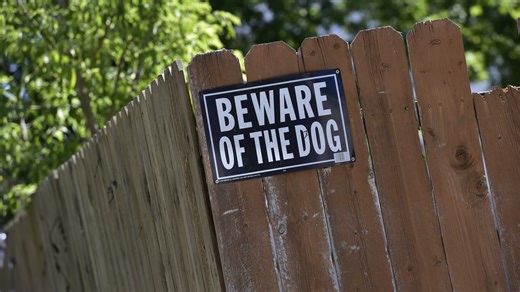 Ohio reports thousands of dog attacks a year. What to know about the state's dog laws