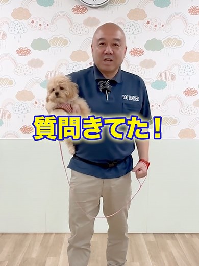 犬が抱っこを嫌がる理由と対策