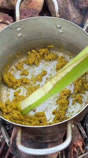 Jungle Cooking Calm Start #primitiveplus #cooking #outdoorcooking