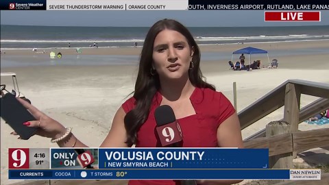 Spinner Shark leaps, smacks local surfer in the face in New Smyrna Beach