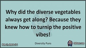 Diversity - Jokes, Puns, Wordplays, and Laughter