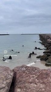 Happy Monday! | Channel Islands Harbor