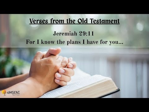 'Old Testament Gems' - #6 'For I know the plans I have for you…'
