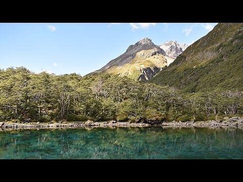 Travers - Sabine Circuit: 5 Days Hiking in Nelson Lakes National Park
