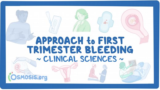 Approach to first trimester bleeding: Video & Meaning | Osmosis