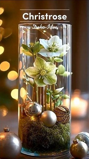 Christrose im Glas dekorieren – Wunderschöne Idee für Winter & Weihnachten #winterdeko