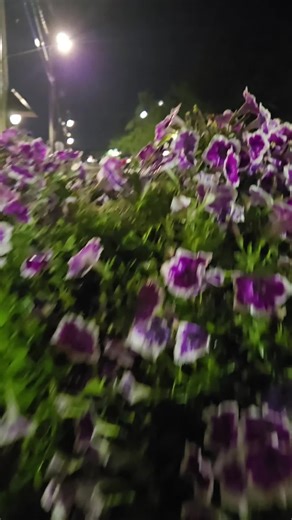 😈 #kia #lightning #storm #photography #beauty