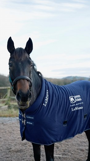 30K views · 475 reactions | Elphick Event Ponies on Reels | Facebook