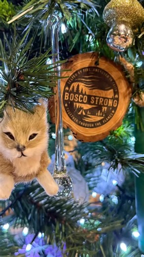 The Fundraising and Alumni Committee on the Board of Directors with Bosco have put together an amazing tree for the Festival of Trees this year. Be sure to check it out from November 21-29, 2025 at the WDM in Saskatoon. The theme for our tree this year is Bosco Strong! Along with many in our province we were up against raging forest fires this spring, and against all odds, we made it through and continue to persevere. Our tree pays homage to the brave firefighters and volunteers fighting the fir