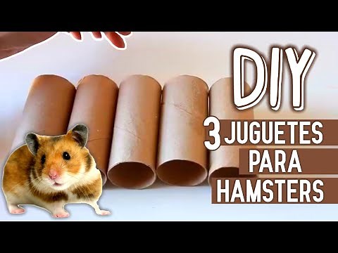 3 JUGUETES para HAMSTER CON CARTON 🐹 (fáciles de hacer)
