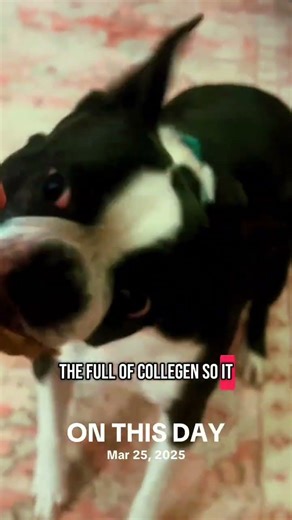 Relive History: Epic Events & Milestones Happened Today! #OnThisDay