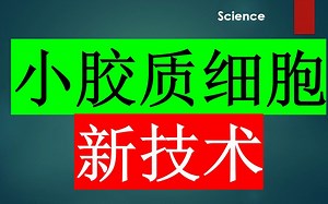 Science—科学家开发SPEAC-seq技术用于研究小胶和星胶之间的相互作用机制