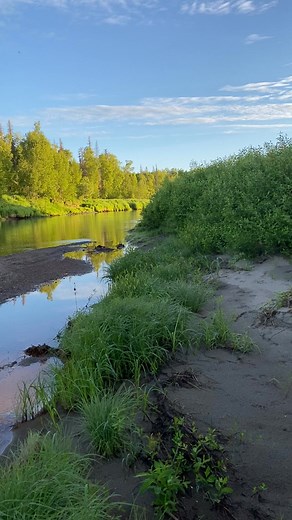 1.4M views · 10K reactions | Great place, great plane •#alaska #amazing #photooftheday #picoftheday #bestoftheday #photo #video #fun #adventure #getoutside #xploringalaska #aviationdaily #explorer #aviationlove #backcountry #pilot | XploringAlaska | Facebook