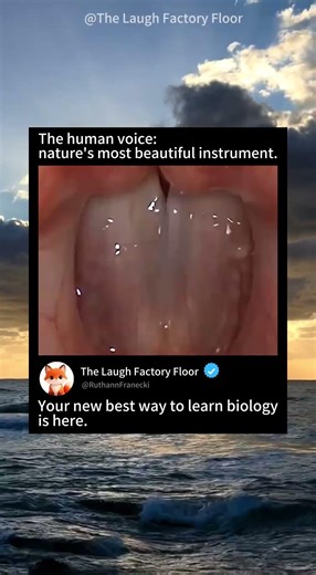 🎙️This is how 👅 human voice works 💨 | MDCT