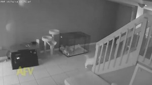 321K views · 3.6K reactions | Paranormal Activity 6 | LADbible Australia | Facebook