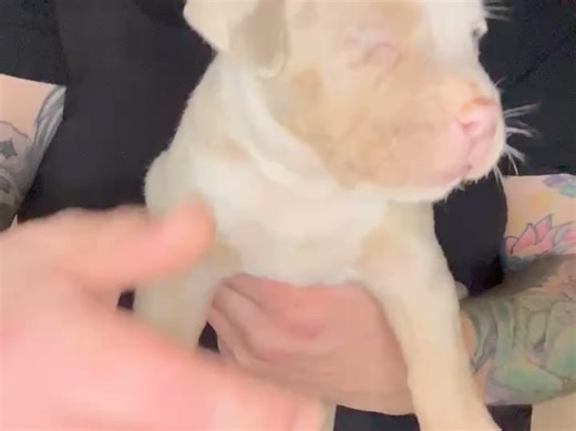 Leonard Gary on Reels