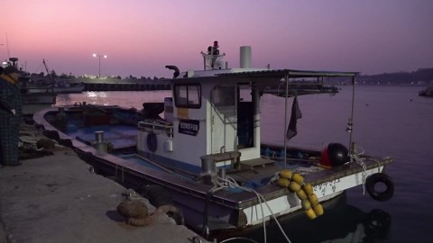 Incredible Process Of Raising Yellowtail Fish Efficiently