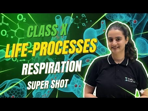 BOARDS 2026 | FREE CRASH COURSE | CLASS 10 | BIOLOGY |RESPIRATION | SUPER SHOT | REVISION - MIQS