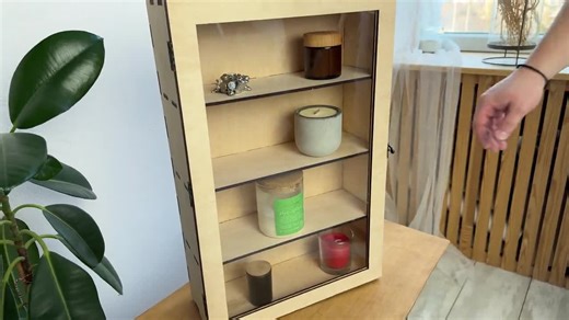 Display Case, Wood Display Shelves, Display Case for Figures, Display for Collectibles, Display Shelf Case, Display Cabinet With Glass Door - Etsy