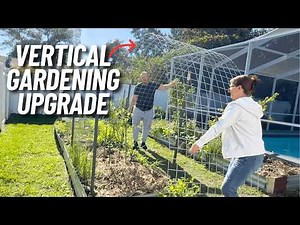 Cattle Panel Trellis Setup: Easy DIY Garden Upgrade