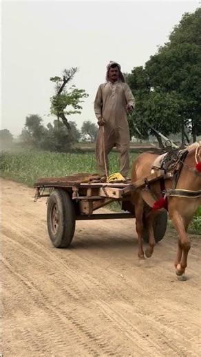 78@hasanasir-l4z|A village in Pakistan reflects simplicity, natural beauty.