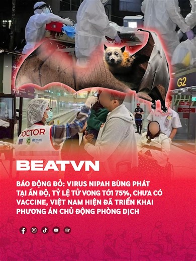 Virus Nipah hết sức nguy hiểm #beatnetwork #beatvn #beatoflife | virus