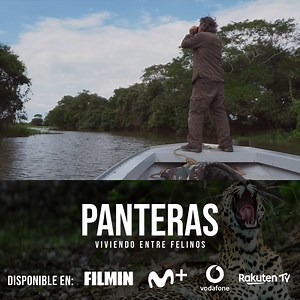 54K views |  #PANTERAS la película ¡Ya disponible en plataformas!  Filmin  https://www.filmin.es/pelicula/panteras?origin=searcher&origin-type=primary  Movistar Plus+  Vodafone TV  Rakuten TV  https://rakuten.tv/es/movies/panteras ¡Adéntrate en la naturaleza salvaje con Andoni Canela y su hijo Unai Canela desde tu casa! | Wanda Visión | Facebook