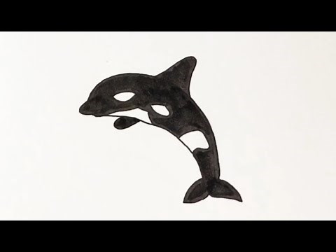 Easy illustration! [Killer Whale] How to draw