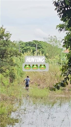 frog hunting/frogging/frog gigging