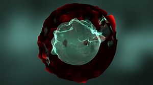 Abstract Colorful Fluid Shape Element Motion Background