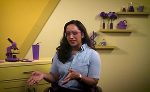 The Basics of Organic Nomenclature