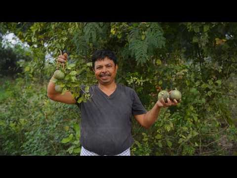 अगर आप भी इस फल को भूल गए हैं तो आज ही खरीदकर यह मुरब्बा बनाया और पूरे परिवार को खिलाएं Bel Muraba🍈