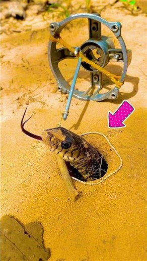 Jungle Snake Trap Challenge 🌴