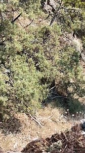 1.9M views · 51K reactions | Crystal Hunting Caves 100 degrees  @prestontone #crystals | The Crystal Hunters | Facebook