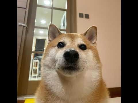 Streaming valorant.apakah hari ini bisa ace terus naik ke gold? | Dengan internet gampang Disconect