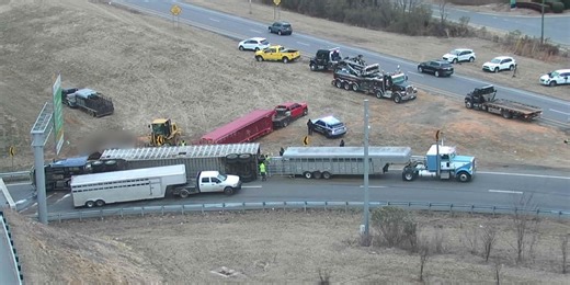 Photos: Trailer hauling 40 cows cut open after truck flips on Charlotte interstate