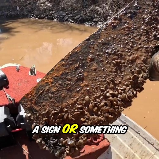 Check out the crazy stuff found magnet fishing! 🎣 An old wrench arm, gardening trowel, and funky metal thingamajig covered in clams! 🐚 Some river finds are just wild! 🪵 #MagnetFishing #RiverTreasure #MetalDetecting #UrbanExploration #ClamLife #WeirdFinds #FishingAdventures | The Fisher Magnet Fishing