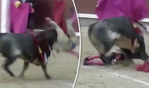 HORRIFIC moment 23-year-old bullfighter is gored in the face