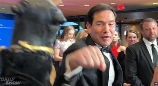 Triumph the Insult Comic Dog baits Marco Rubio into playful punch