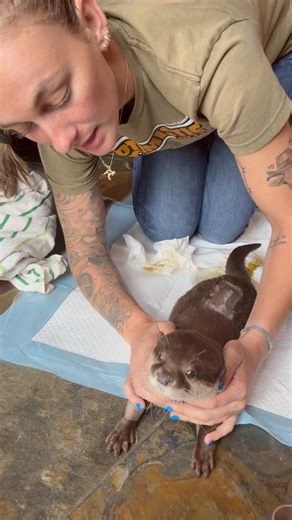 136K views · 6.4K reactions | Update on Harrison’s Back Surgery.....