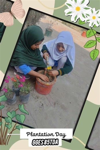 Plantation Day activities at school #plantation#schoolactivity#shortvideo