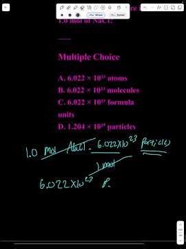 NaCl: what counts as a “particle”?