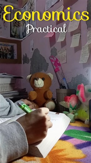 53/100 REAL ECONOMICS PRACTICAL😭 #minivlog #exam #shorts