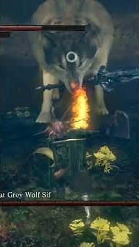 first time beating great Grey wolf sif. #darksouls #darksoulsremastered