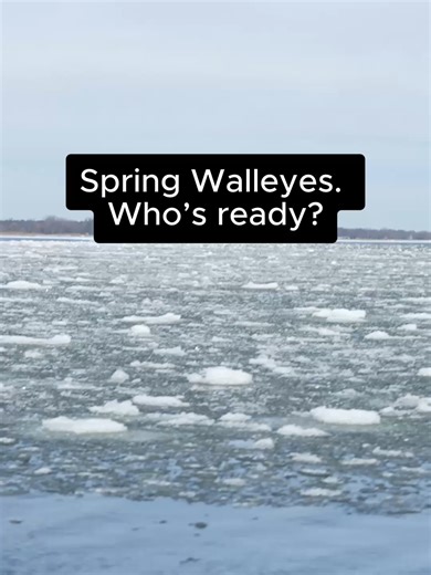 Spring Gold: Tips for Walleye Fishing